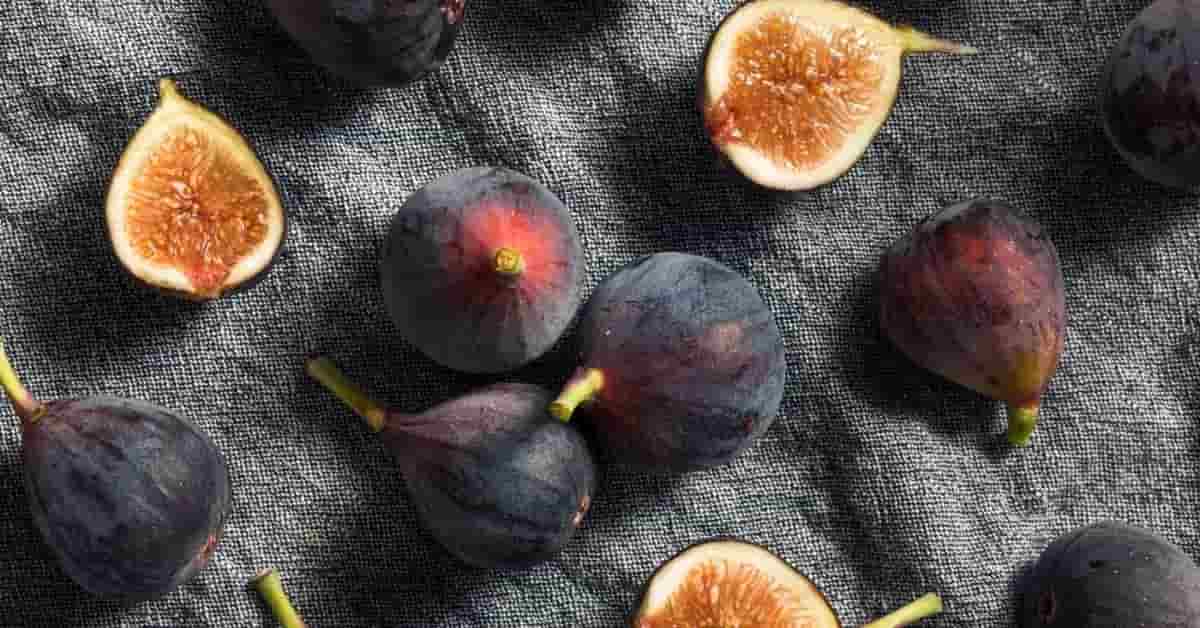 تصویر 1 از انجیر خشک تیزابی با سطح روشن و طعم طبیعی